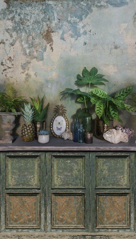 A39001 Pflanzen Gewächshaus