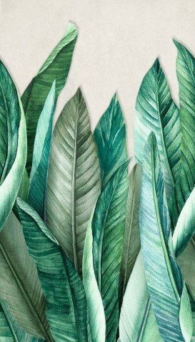 Fototapete A39501 von Grandeco - erleben Sie exotische Natur in Ihrem Zuhause